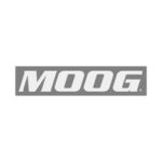 moog